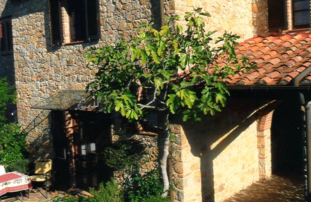 Casa Cristina