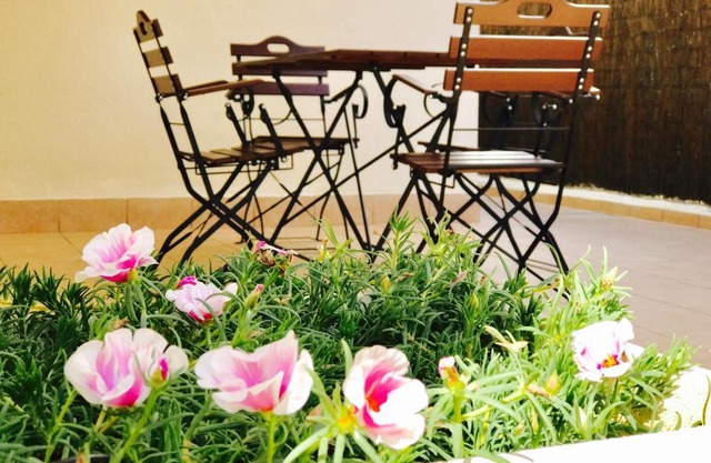 Casa Cycas