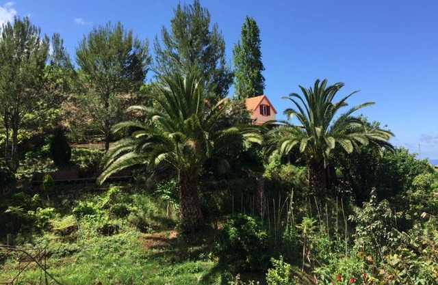Casa d'Olívia