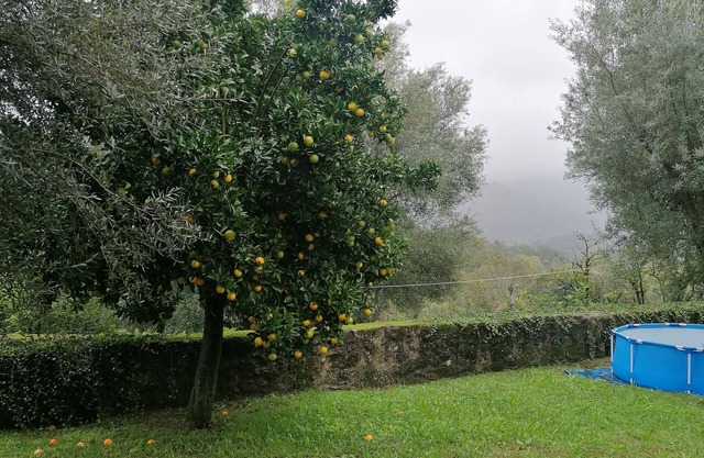 CASA DA ADEGA Inserida em pequena aldeia pacata em terras de Bouro, GERÊS