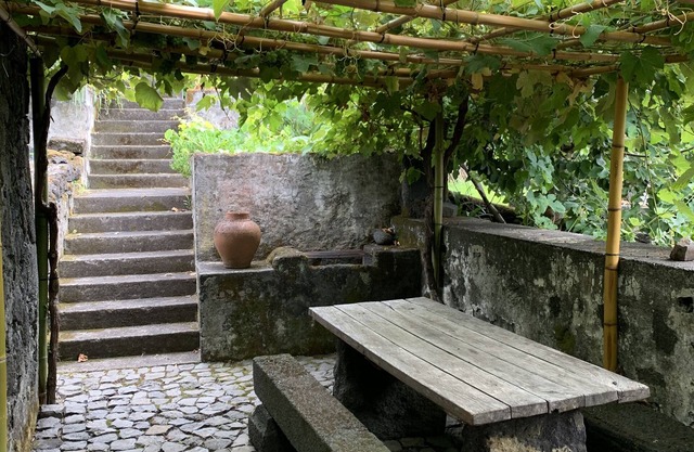 Casa das Barcas