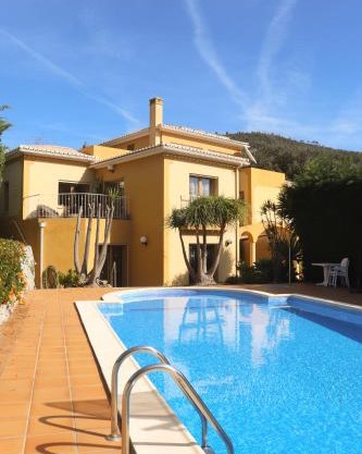 Casa das Oliveiras - OLIVE TREE