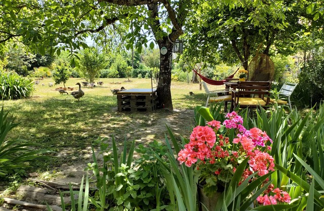 Casa das Palmeiras - Pedagogic Farm