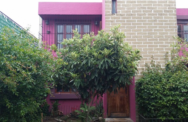 Casa de estilo mexicano und el corazón de la ciudad de San Andres Cholula