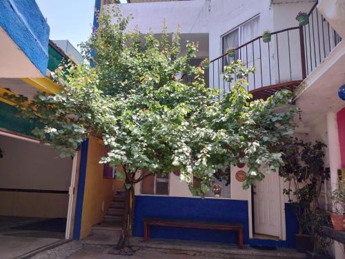 CASA de HUESPEDES del SOL BARBON