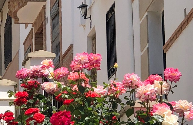 CASA DE LA CAÑADA Carchelejo (Jaén) - Spanien