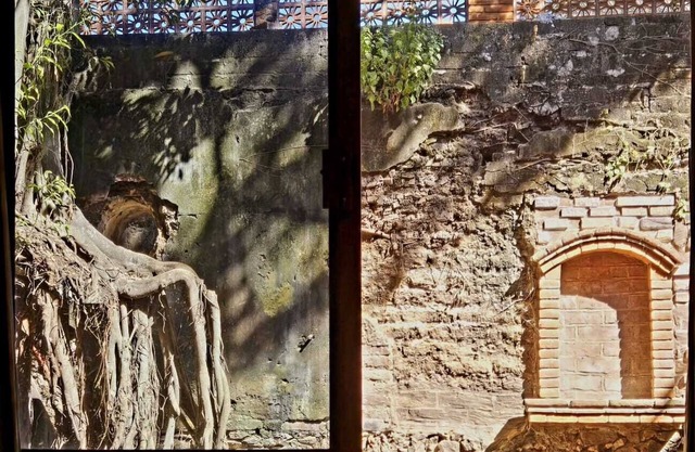 Casa del Arbol