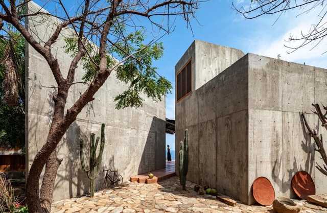 Casa del sapo
