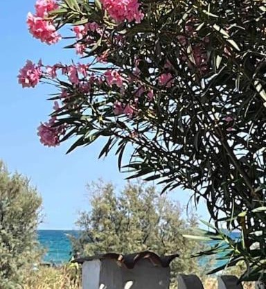 Casa dell'Oleandro con vista mare - IUN Q1269