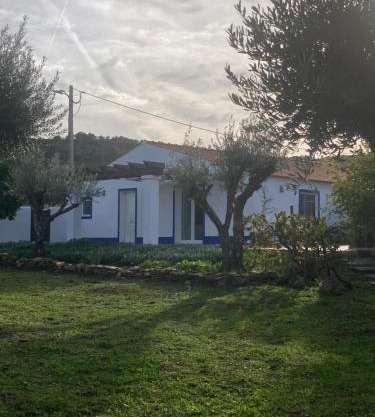 Casa do Monte T2 - Esperança