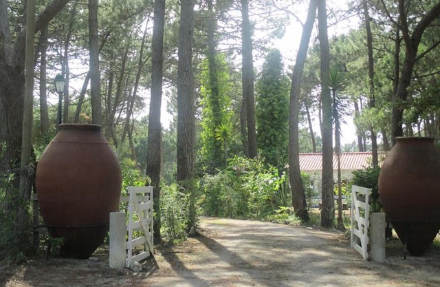 Casa do Páteo