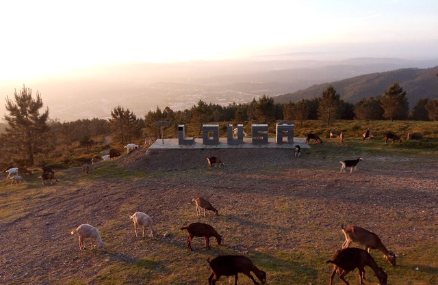 Casa do Pastor (Lousã)