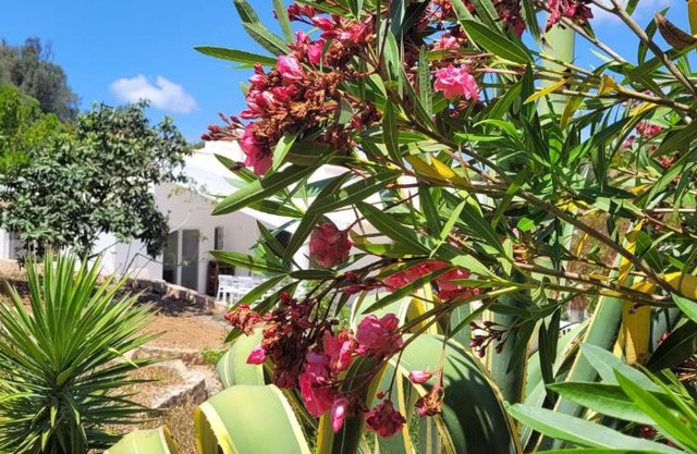 Casa do Poço