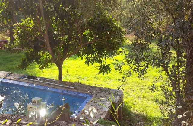 Casa do Tanque - Casa da Cerca