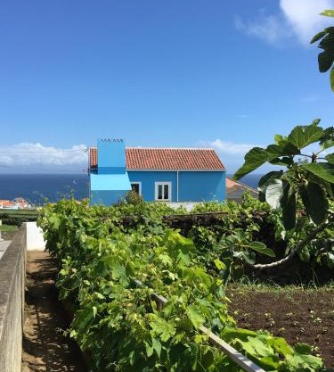 Casa do Vizinho