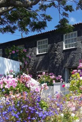 Casa do Zé - AL