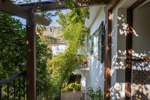 Casa Dona Aninhas - Douro