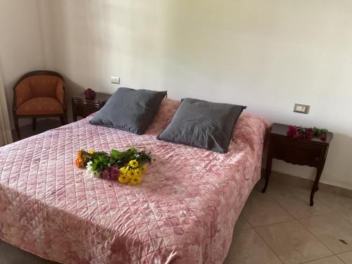 Casa Elena