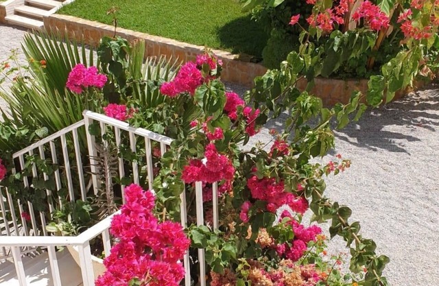 Casa Antonio - San Juan de los Terreros, Andalucía