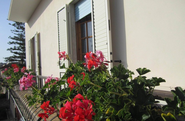 Casa Falena