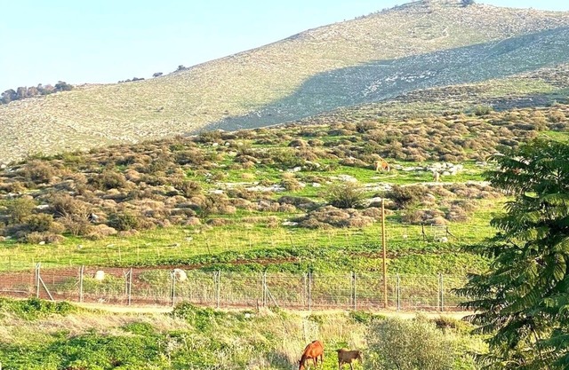 Casa Gilboa - The perfect country getaway.