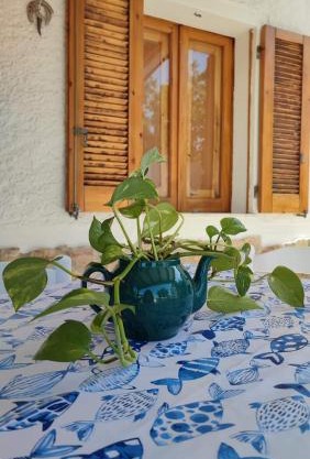 Casa Giulia Badesi
