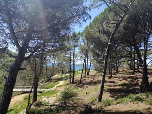 Casa Jacintos - Sintra, Magoito