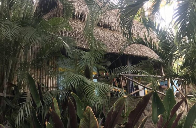 CASA LAS PAROTAS Palapa Casita with Loft Bedroom, Overlooks Yelapa Bay.