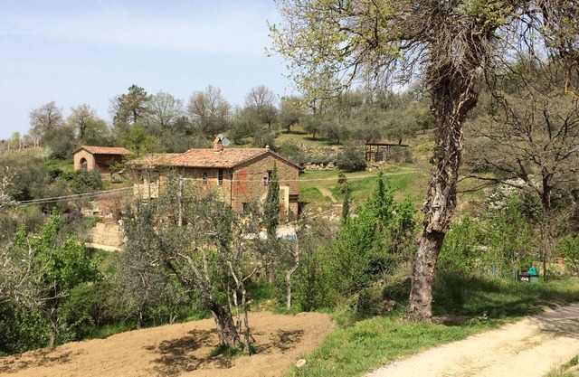 CASA LORENZO ~ GANZES BAUERNHAUS mit herrlichem großen römischen Pool im Olivenhain