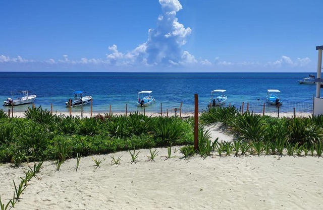 Casa Lucia Beachfront Puerto Morelos