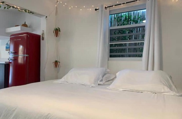 Casa mango