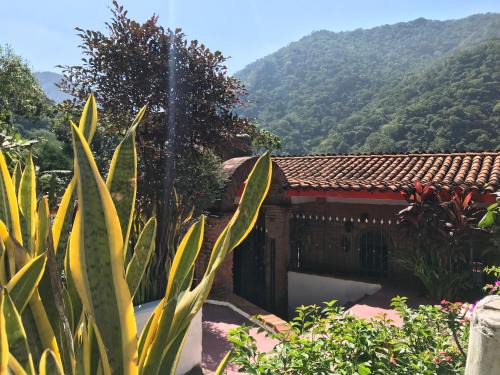 Casa Margarita- escapa a la naturaleza