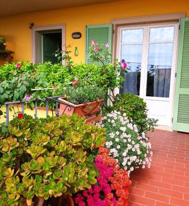 Casa Marta