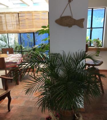 Casa Molcajete