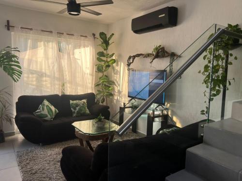 Casa Monstera te espera