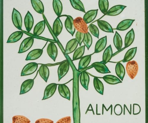 Casa Monte Cristo Apartments - Almond
