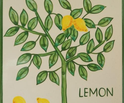 Casa Monte Cristo Apartments - Lemon