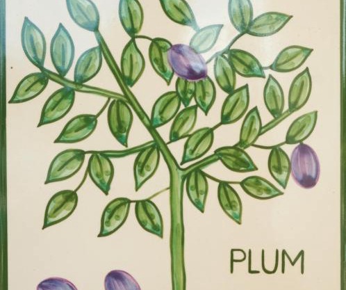 Casa Monte Cristo Apartments - Plum