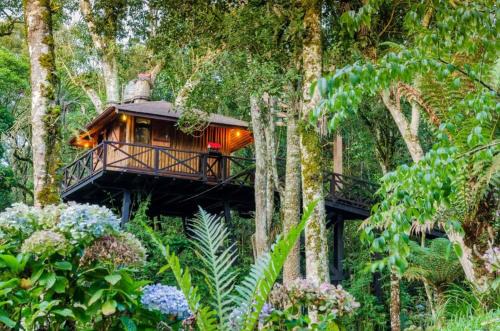 Casa na Árvore Monte Verde