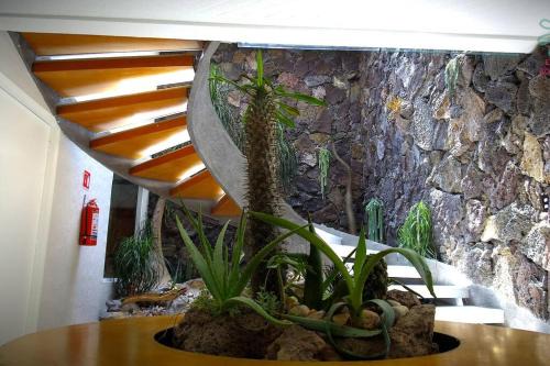 Casa O - Tu Hogar Boutique en Puebla con 6 Recámaras y Terraza Privada