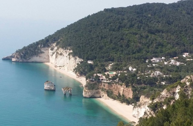 CASA OLIVO entspannen Sie in der grünen nahe dem Meer