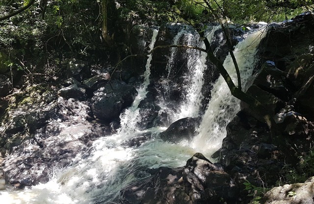 Casa para hasta 11 personas con amplio jardin en Tepoztlan