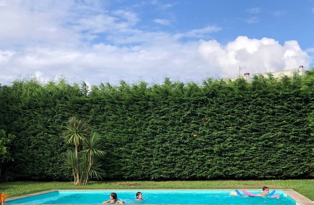 Casa Pedro und Inês - Holidays House - Tourismus und Freizeit an der Grünen Küste!