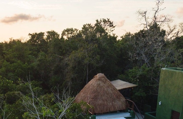 Casa Pibe | Private Pier, Free Kayaks & Paddle Boards
