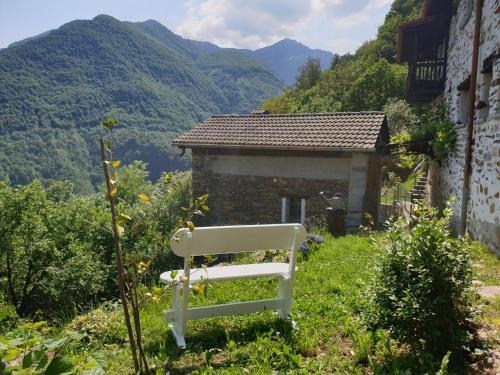 Casa Piccola, Case di Zali