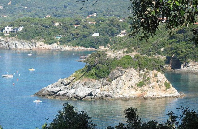 Casa Pineta