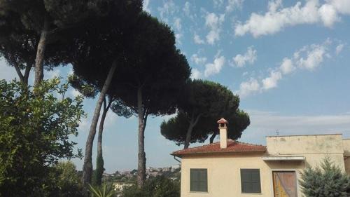 Casa Rioli