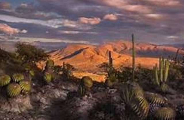 Casa Rustica Reserva Biosfera Tehuacan Cuicatlan