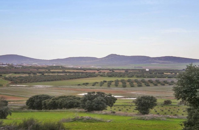 Casa Rural Alonso Quijano El Bueno