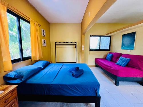 Casa Shula 3 AC Starlink 2min walk to the beach